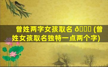 曾姓两字女孩取名 🐟 (曾姓女孩取名独特一点两个字)